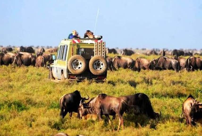 Kenya Safari Destinations