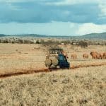 Mount Kenya & Samburu National Reserve