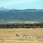 Mount Kenya