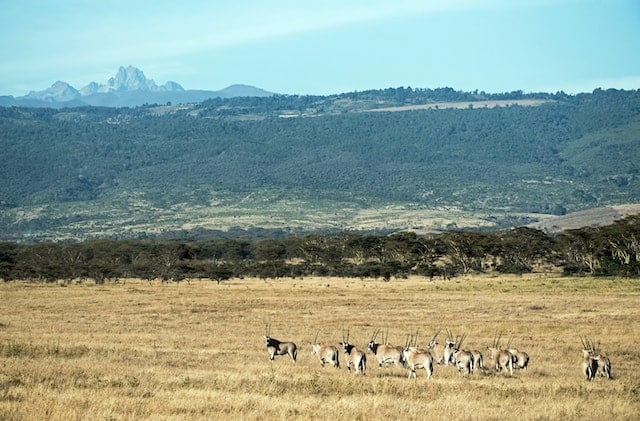 Mount Kenya