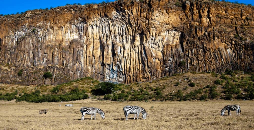 zebra at hell's gate national park