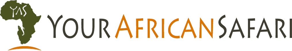 Your African Safari