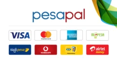 PesaPal Payment Options